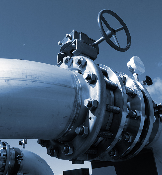 ఫ్లూయిడ్ వరల్డ్‌లో 'గార్డియన్ ఆఫ్ కంట్రోల్'